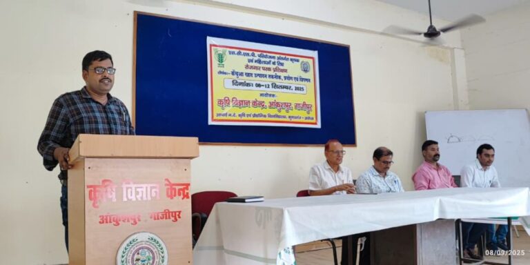 02ec339d-43aa-4667-9f6d-bc94b0dad441-1050x525